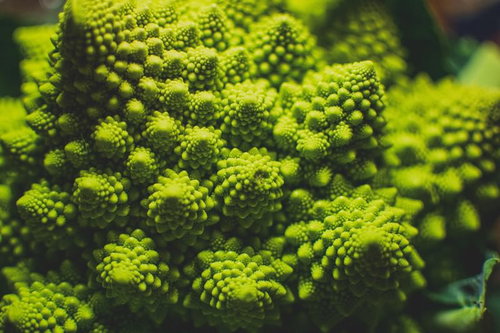 黄緑色のロマネスコに見る自然のフラクタル構造