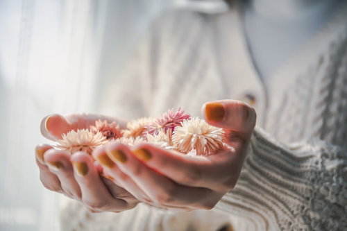 手のひらで優しく包み込むドライフラワー、両手で大切に