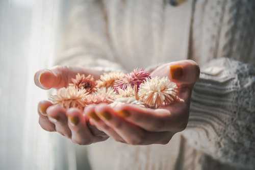 手のひらいっぱいのピンクと白のドライフラワーを両手で包む