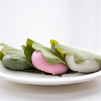 白い皿に並ぶ三色の柏餅、白あん・桜あん・よもぎあんの写真