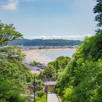 夏日の由比ヶ浜ビーチを眺める（成就院から）の写真