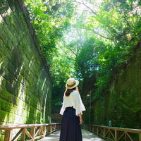 猿島の緑に包まれて木漏れ日を見上げる帽子の女性の写真