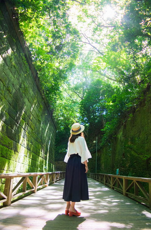 猿島の緑に包まれて木漏れ日を見上げる帽子の女性