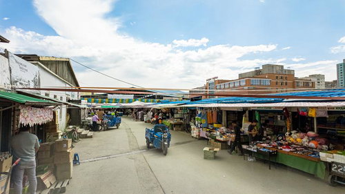 モンゴル・ナラントール市場の下町感と活気ある商業風景