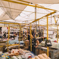 モンゴルの活気あふれるナラントール市場の写真