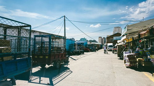 モンゴルの屋外市場（ナラントール市場）と商品