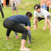 芝生の上で繰り広げられるモンゴル相撲の熱戦の写真