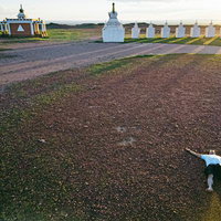 モンゴルの大地に寝そべってエネルギーを吸収する旅人の写真