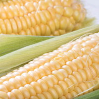 皮を剥いたトウモロコシと緑の皮、黄色い粒がぎっしりの写真