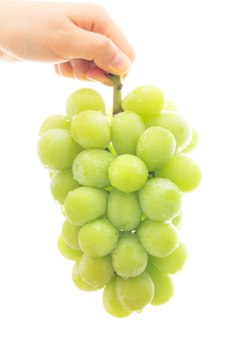 鮮やかな緑色のマスカット一房を手で摘んで持ち上げている様子