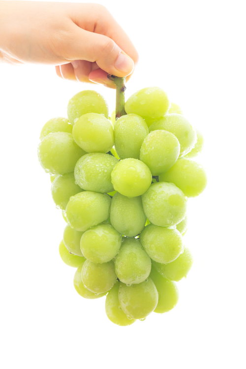 手で摘むマスカット一房、いかがですか