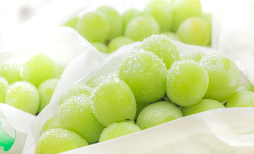 みずみずしく出荷されたシャインマスカットの房