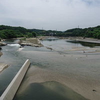 明治用水頭首工の天端から所々湖底がのぞき旧頭首工も姿を現した上流方面を見るの写真