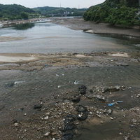 明治用水頭首工天端中央付近より覗き見た通常は両岸の木々の際まで満々と水をたたえるダム湖の湖底が何か所も露わになった頭首工上流部の様子の写真