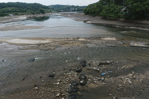 明治用水頭首工天端中央付近より覗き見た通常は両岸の木々の際まで満々と水をたたえるダム湖の湖底が何か所も露わになった頭首工上流部の様子