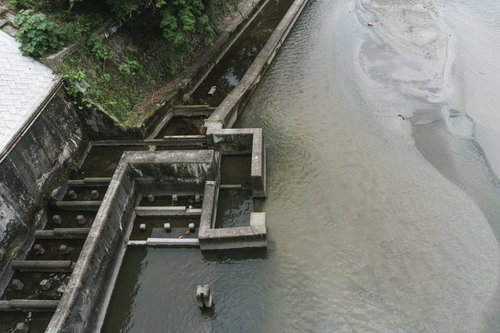 水量が減り機能を果たせなくなっている明治用水頭首工左岸魚道の下流部の様子