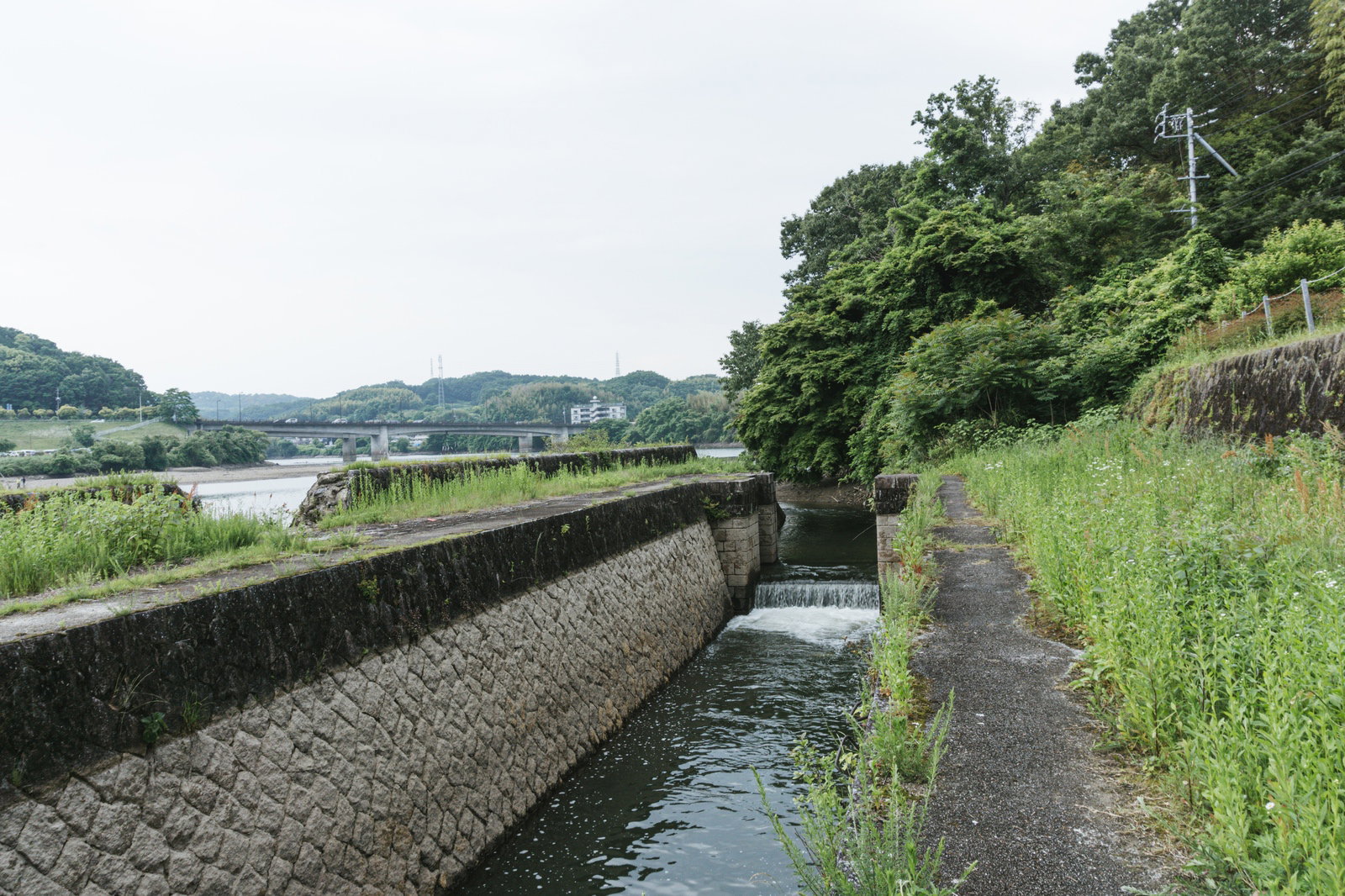 水位が下がり石積みが現れた明治用水旧頭首工の船通し跡