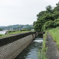 水が減ったために普段水面下にある白っぽく変色した石組みを見ることが出来る明治用水旧頭首工の船通し跡の写真
