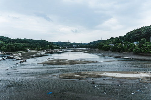 天端から水が減り湖底が何か所も露わになったダム湖を見る