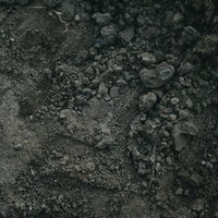 湿った泥土のテクスチャーの写真