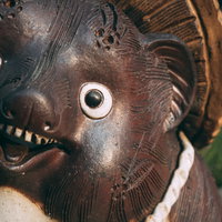 カブが暴落して今どんな気持ち？の写真