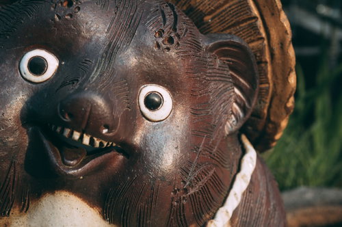 カブが暴落して今どんな気持ち？