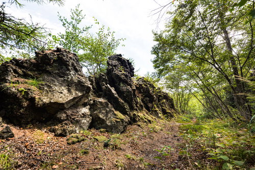 浅間園の鬼の隠れ道、溶岩の岩々と遊歩道、新緑の森林風景
