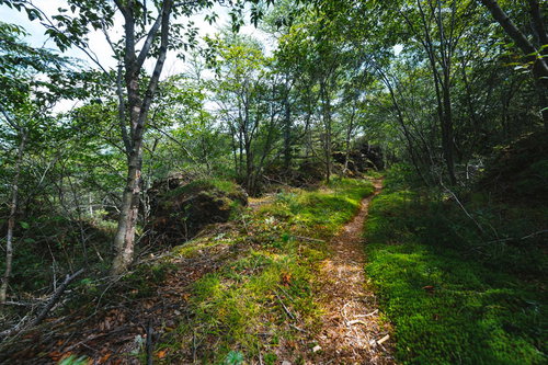 浅間園の鬼のかくれみちを進む山道を歩く森林トレッキングコース