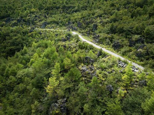 浅間園の遊歩道と黒い溶岩が点在する鬼押出し園地
