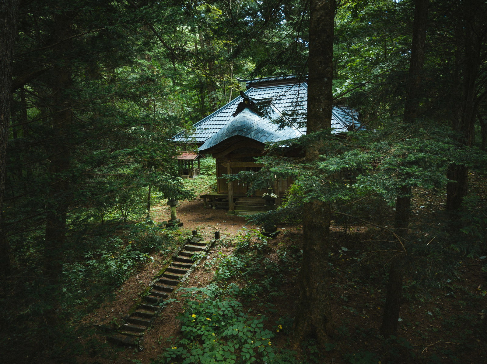 深緑の森に囲まれた狩宿諏訪神社の本殿と石段の参道