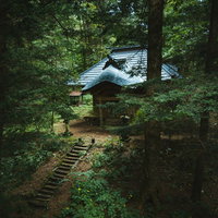 深緑の森に囲まれた歴史ある狩宿諏訪神社の本殿と参道の写真