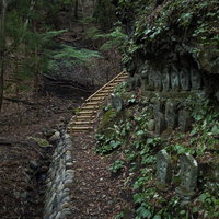 山間にある滝沢観音石仏群の様子の写真