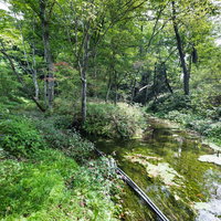 群馬県長野原町の狩宿湧水と清流の風景の写真