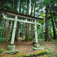 狩宿諏訪神社の白い鳥居と参道の風景、長野原町の写真