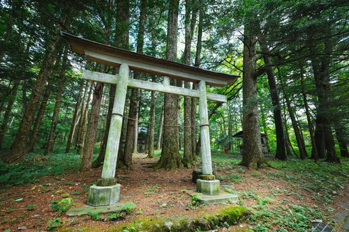 狩宿諏訪神社の白い鳥居と参道の風景、長野原町