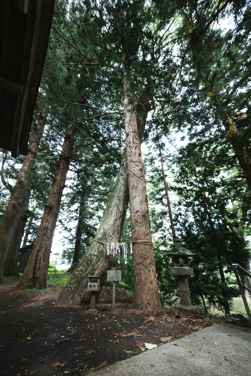 応桑諏訪神社の岩壁に並ぶ石仏群