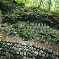 森の中の石段に並ぶ滝沢観音石仏群の地蔵と石仏の写真