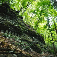深緑の森に包まれた滝沢観音石仏群の古い石仏たちの写真