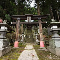 王城山神社の朱色の鳥居と杉林に囲まれた参道の写真