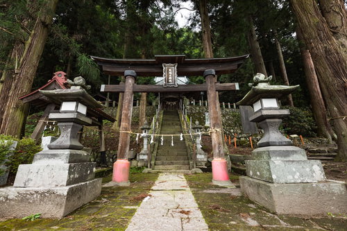 王城山神社の朱色の鳥居と杉林に囲まれた参道