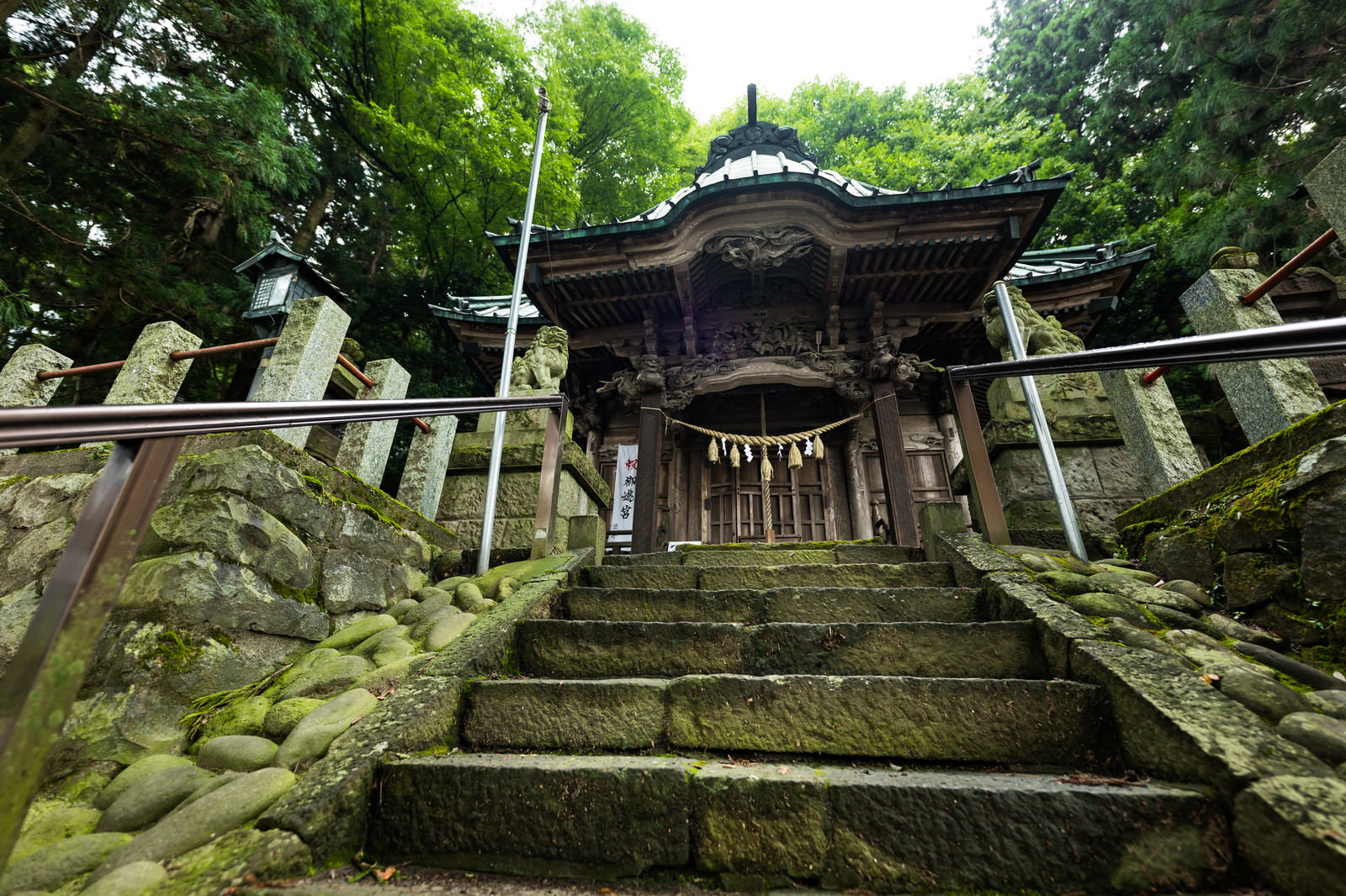 苔むした石段と狛犬が並ぶ王城山神社の参道