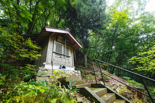 木々に囲まれる荒澤不動明王の白い堂宇と石段参道