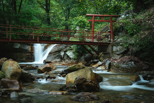 荒澤不動明王へと続く苔むした山道