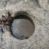 長野原町の天然記念物・甌穴群（おうけつぐん）の甌穴（小）の写真