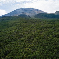 ガラケーを見つめる高齢男性の写真