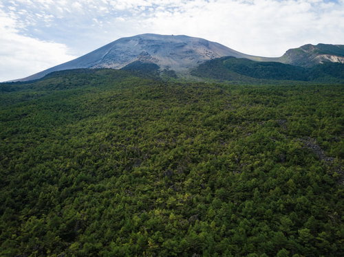 ガラケーを見つめる高齢男性