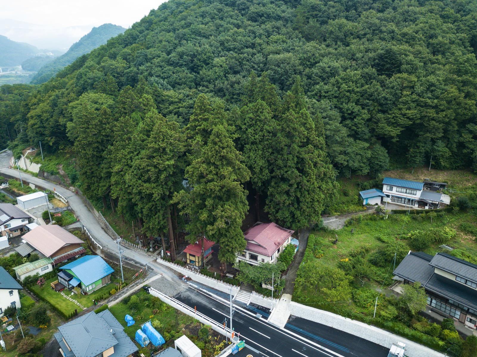 杉の森に囲まれた王城山神社の全景を空撮で捉えた写真