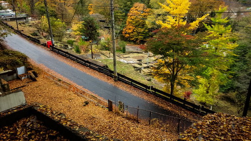 黄葉に囲まれた山間の橋と道路が見える旧川原湯温泉街跡