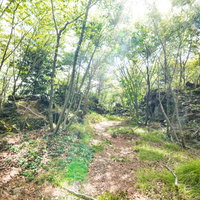 溶岩の上を行く獣道、鬼のかくれみちの山道の写真