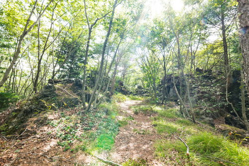 溶岩の上を行く獣道、鬼のかくれみちの山道